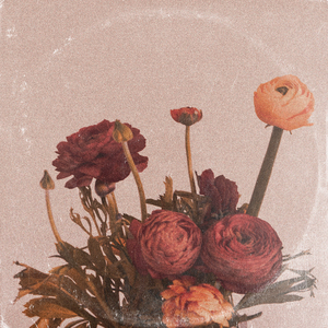 91在线无码精品黑桃动漫
