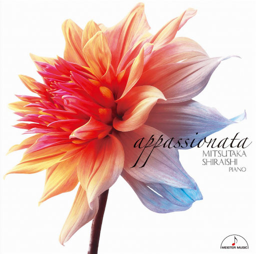 91在线无码精品黑桃动漫
